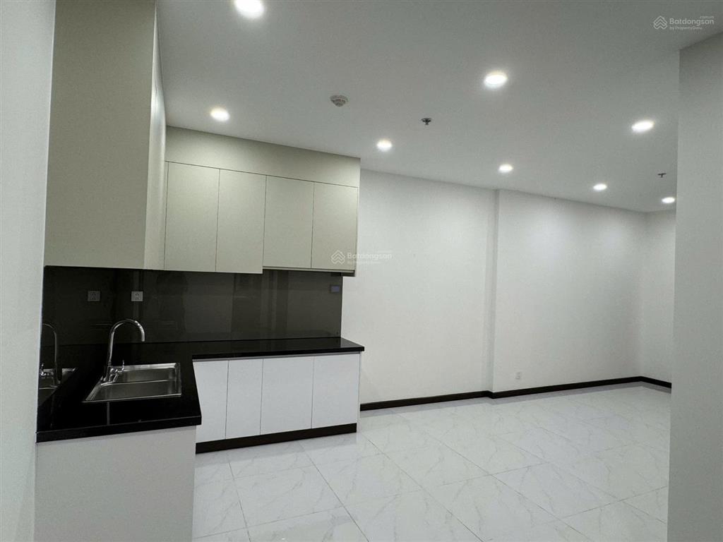 Bán căn hộ 1pn 1wc 53m2 tòa b chung cư skyview chánh nghĩa tầng cao view sài gòn