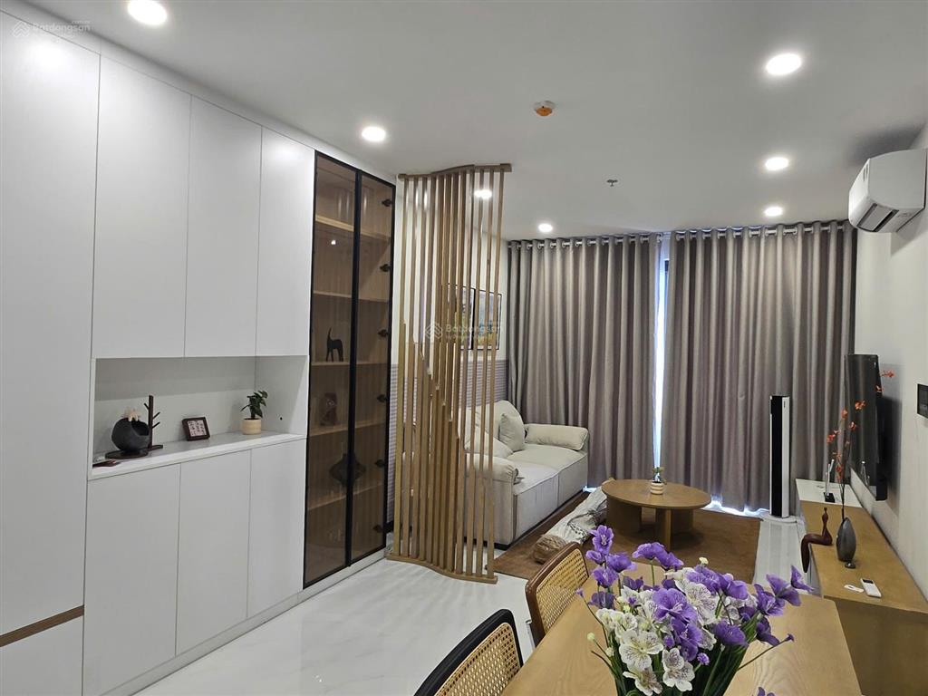 Cho thuê căn hộ cao cấp trung tâm thủ dầu một 1pn 1wc 57m2 chung cư cskyview