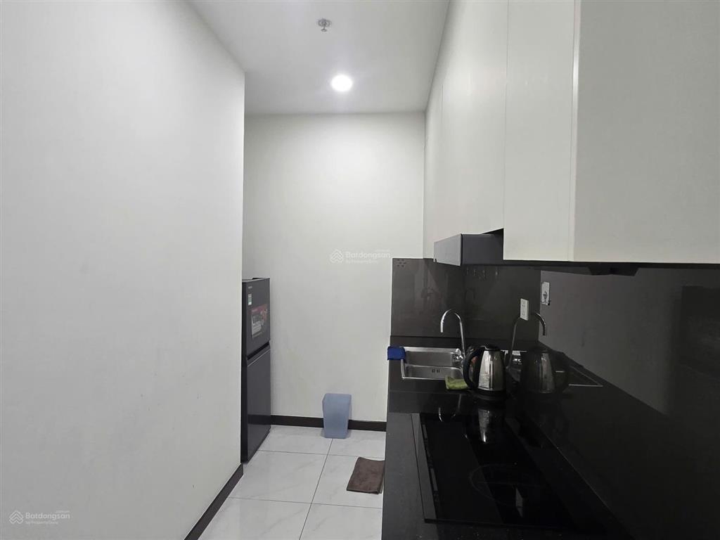 Cho thuê căn hộ 1pn 1wc 53m2 tầng cao chung cư skyview chánh nghĩa full nội thất