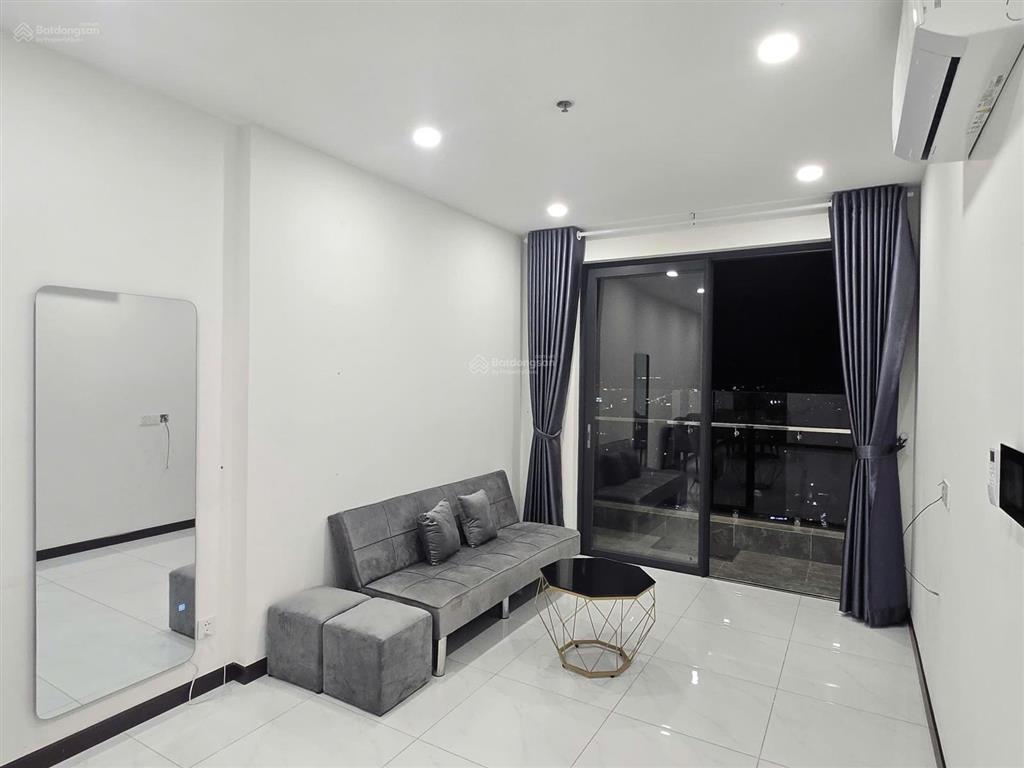 Cho thuê căn hộ 1pn 1wc 53m2 tầng cao chung cư skyview chánh nghĩa full nội thất