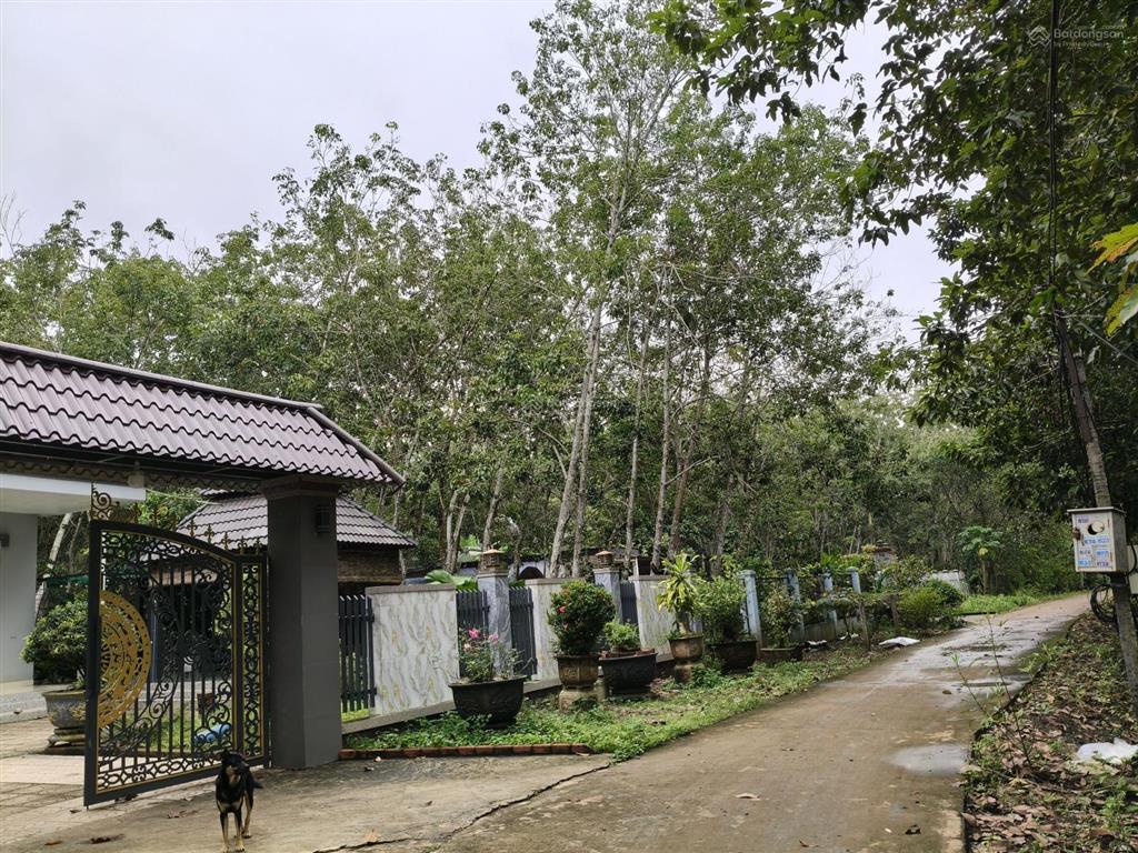 Hớn quản chủ kẹt tiền cần bán gấp lô đất 2 mặt tiền 571m2 có 100m2 thổ cư. giá 320tr bao sổ sách