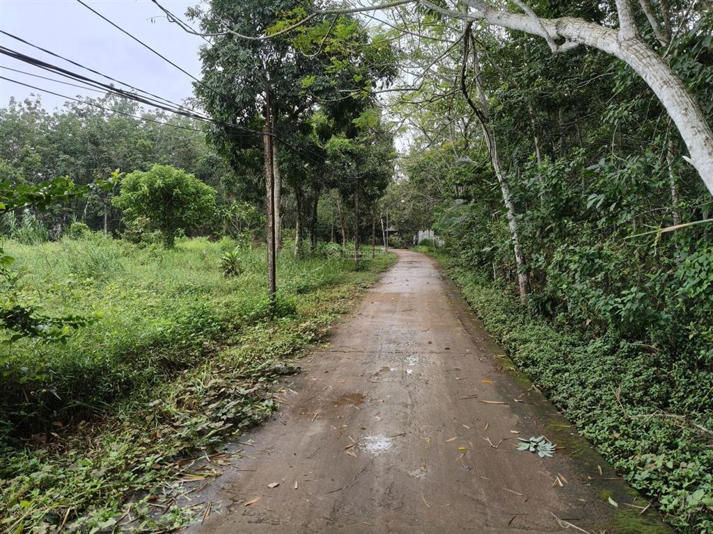 Hớn quản chủ kẹt tiền cần bán gấp lô đất 2 mặt tiền 571m2 có 100m2 thổ cư. giá 320tr bao sổ sách