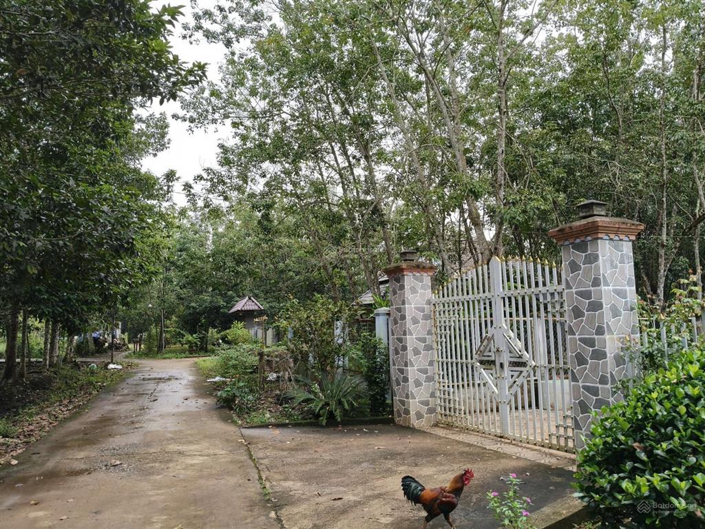 Hớn quản chủ kẹt tiền cần bán gấp lô đất 2 mặt tiền 571m2 có 100m2 thổ cư. giá 320tr bao sổ sách