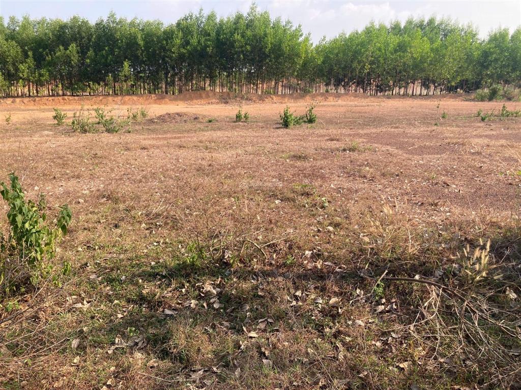 Kẹt tiền chủ mong muốn bán nhanh 1.000m2 đất thanh lương, bình long. 23x42 giá 285tr