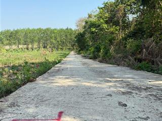 Chủ cần bán gấp lô đất p. an lộc, tp. đồng nai. 5x40 tổng 200m2 có 50m thổ cư giá chỉ 160tr.