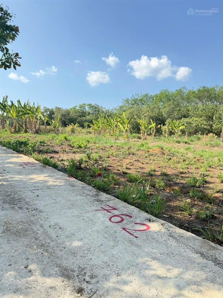 Chủ cần bán gấp lô đất p. an lộc, tp. đồng nai. 5x40 tổng 200m2 có 50m thổ cư giá chỉ 160tr.