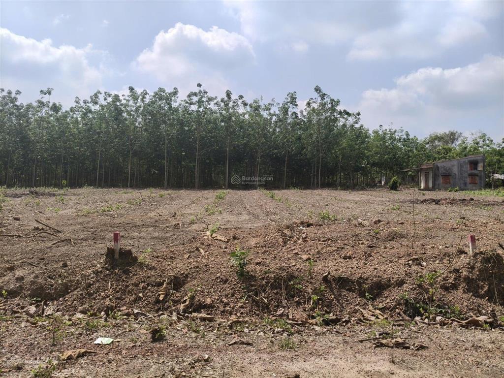 Chủ kẹt tiền cần bán gấp lô đất xã minh đức tp đồng nai5x50 tổng 250m2 .có 100m2 thổ cư. giá 190tr