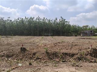 Chủ kẹt tiền cần bán gấp lô đất xã minh đức tp đồng nai5x50 tổng 250m2 .có 100m2 thổ cư. giá 190tr