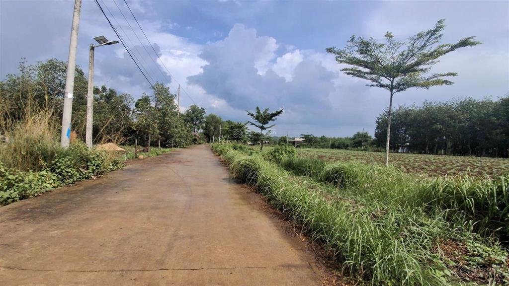 Lộc hưng, lộc ninh, bình phước 327.9m2 có 100m2 thổ cư giá 200tr. sổ hồng cầm tay