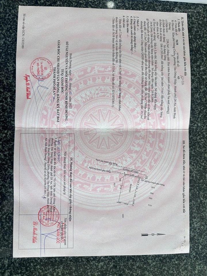 Biệt thự đoàn thị khia dt 239m ngang 11 giá rẽ 9 tỷ 500 triệu