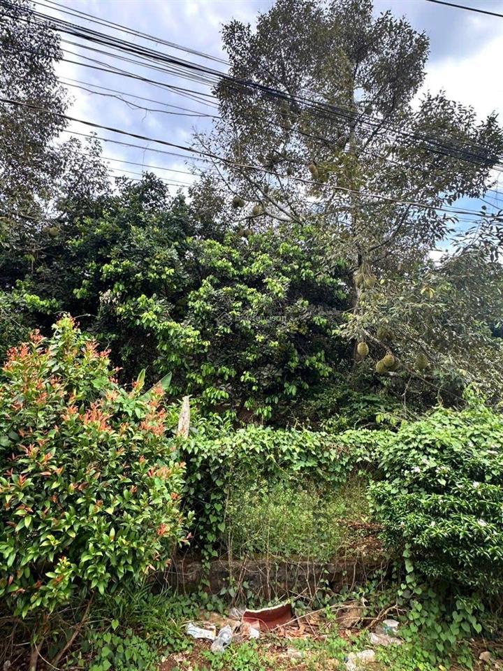 Bán 1000m² đất mặt đường nhựa xuân định tp đồng nai