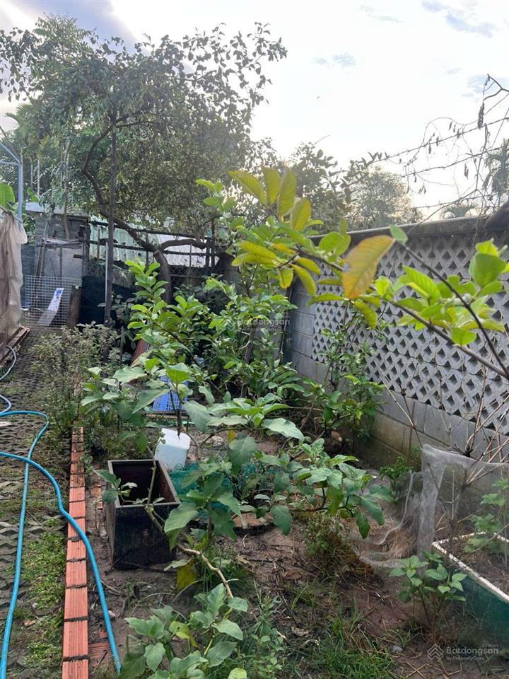 Nhà gỗ 3 gian khu nghỉ dưỡng 6.50m x 34m  phường phú thọ, tdm, gần đường vành đai 3