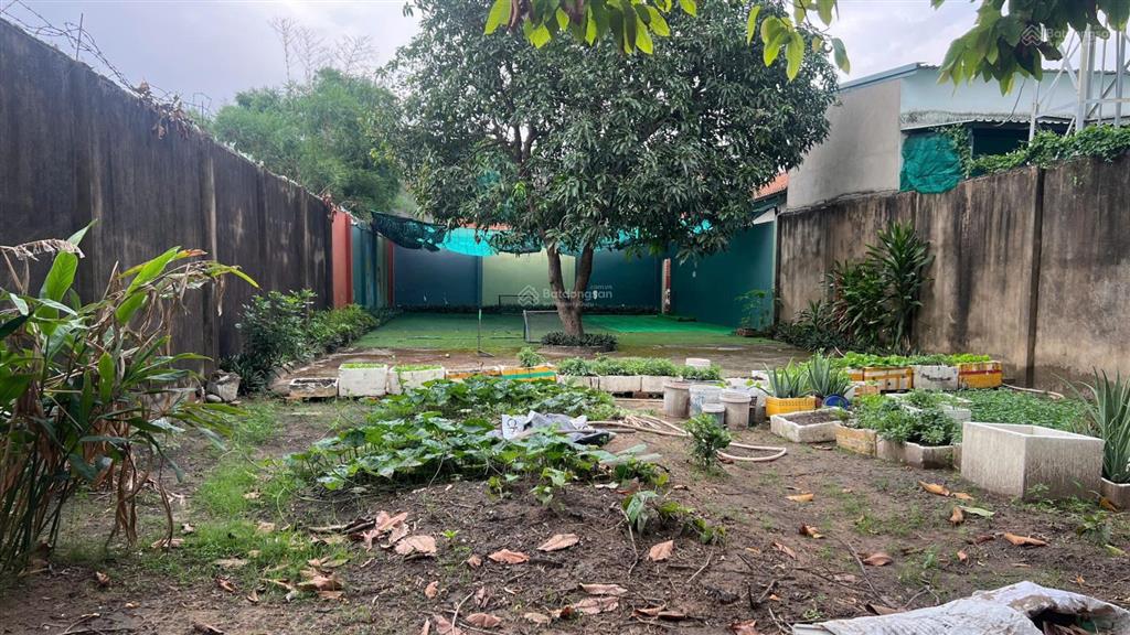 Biệt thự vườn  gần 1000m²  trệt 2 lầu  đối diện đh thủ dầu một