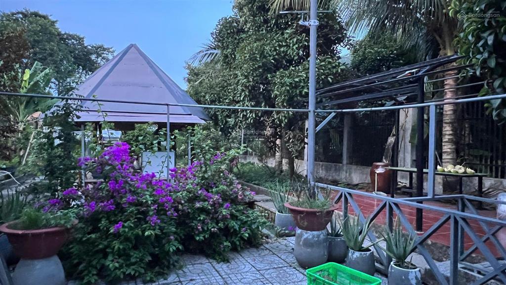 Biệt thự vườn ven sông 1,650m2 phường thủ dầu một, tphcm