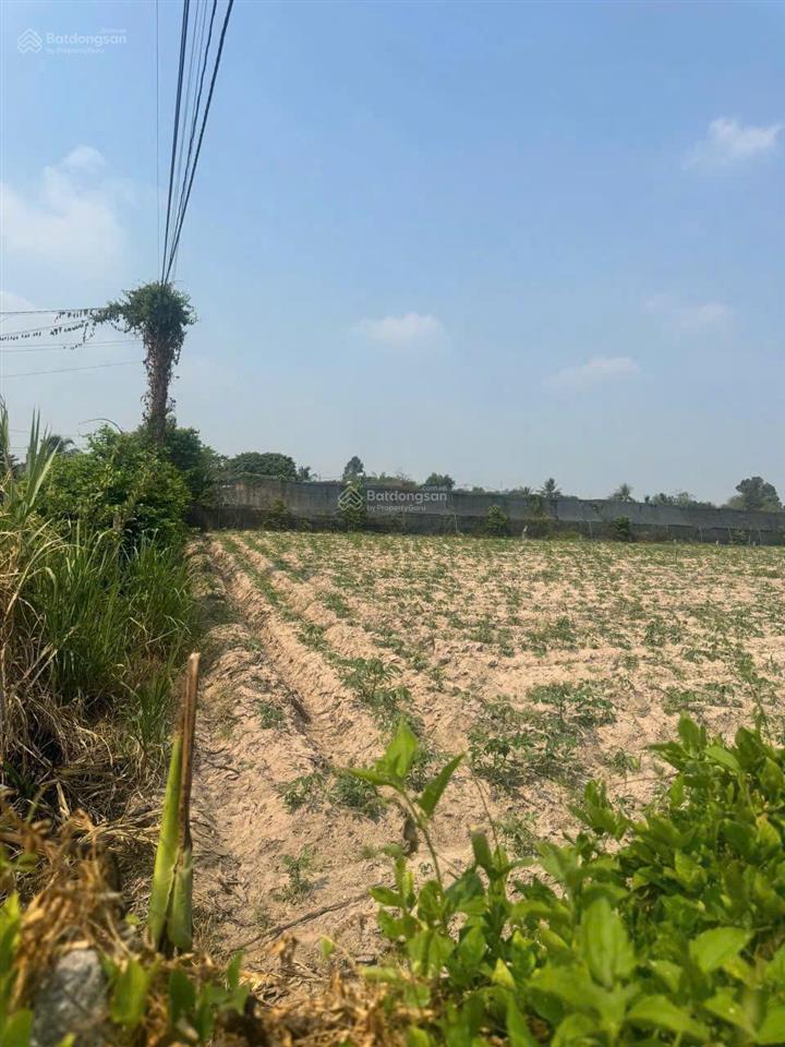 Xã thái mỹ 467m2 ngộp bán nhanh sổ hồng riêng