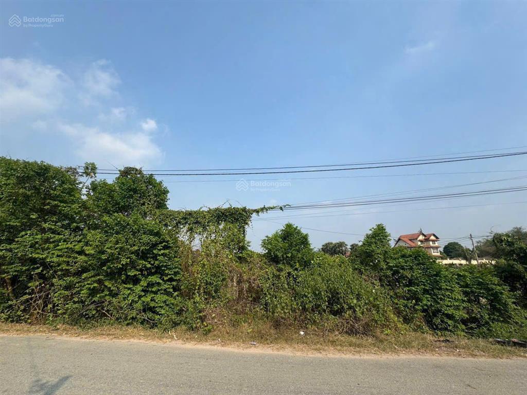 Xã thái mỹ 467m2 ngộp bán nhanh sổ hồng riêng