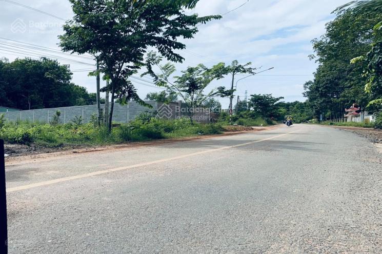 Mặt tiền đường nhựa đường dh609, phường phú an, hồ chí minh