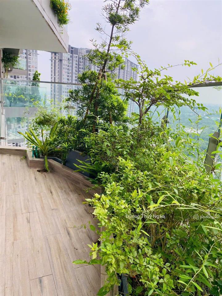 Chuyển nhượng căn sân vườn 95m2 sol forest ecopark, view biệt thự đảo, yên tĩnh, giá 7,x tỷ