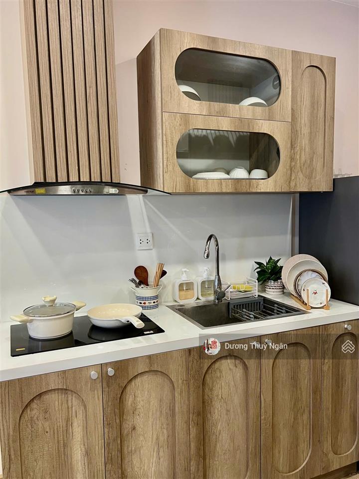 Ngân dương ecopark chuyển nhượng duplex studio (2 ngủ 1 wc) hoàn thiện giá tốt