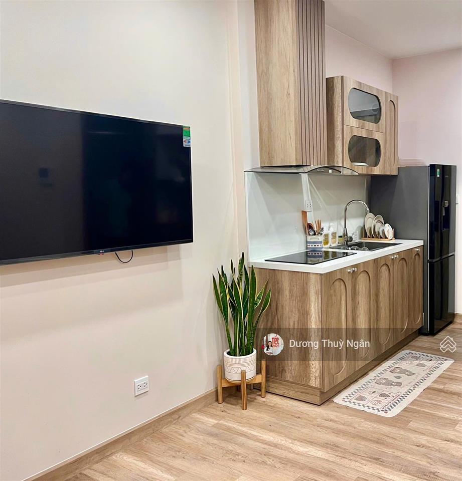 Ngân dương ecopark chuyển nhượng duplex studio (2 ngủ 1 wc) hoàn thiện giá tốt