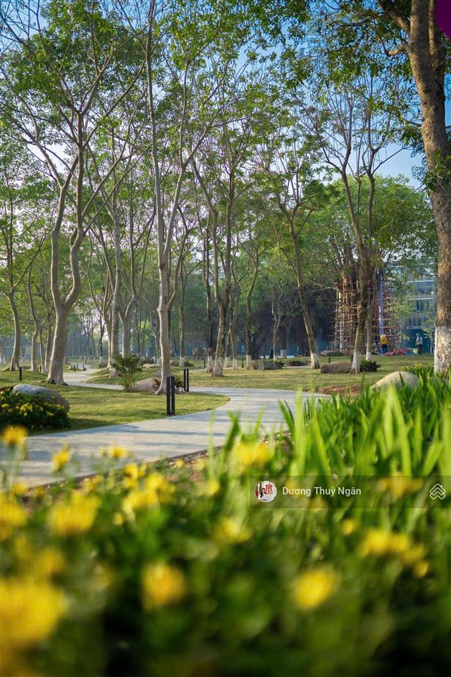 Ngân dương ecopark chuyển nhượng duplex studio (2 ngủ 1 wc) hoàn thiện giá tốt