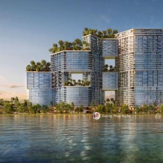Ngân dương chuyển nhượng 3 phòng ngủ sky forest giá tốt  view nội khu biệt thự