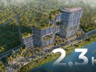 Ngân dương ecopark chuyển nhượng sky forest residences ecopark 2 pn full nội thất giá siêu rẻ