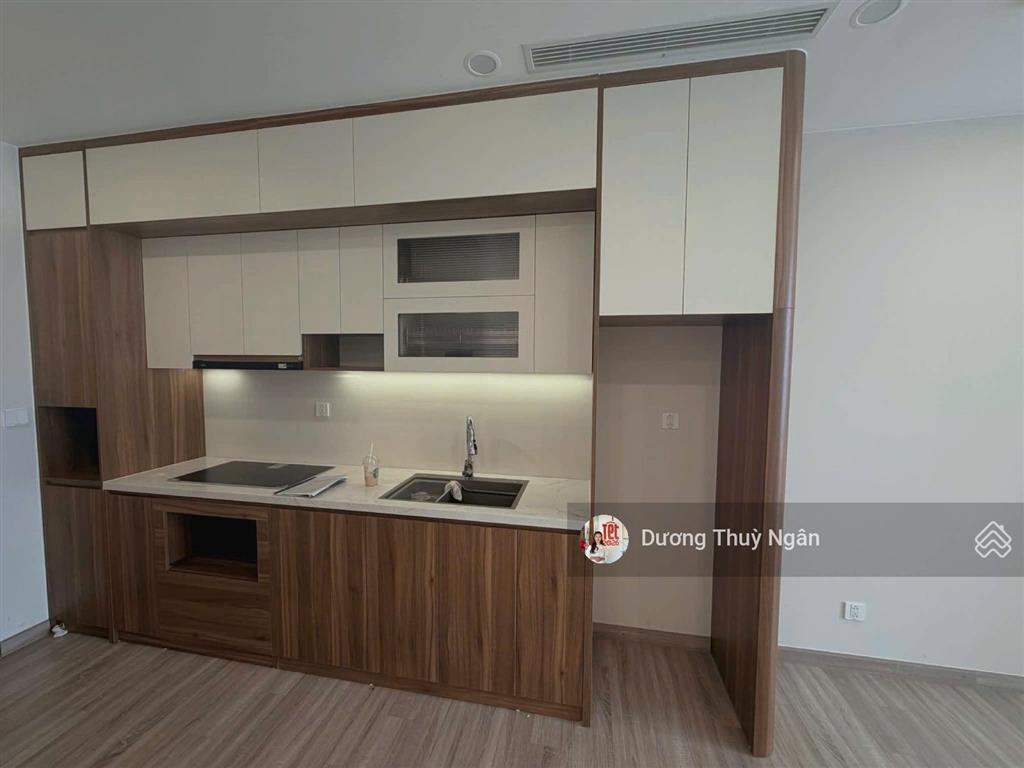 Ngân dương ecopark chuyển nhượng sky forest residences ecopark 2 pn full nội thất giá siêu rẻ