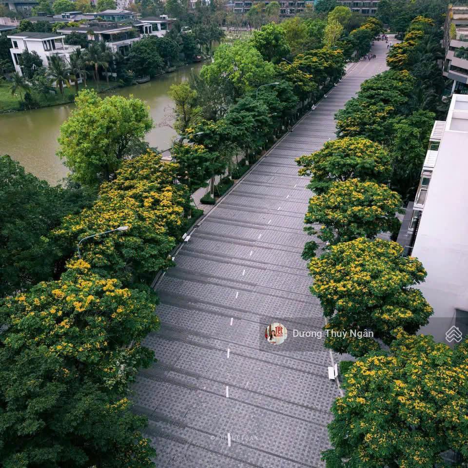 Ngân dương ecopark chuyển nhượng giá siêu rẻ 2pn haven park full nội thất