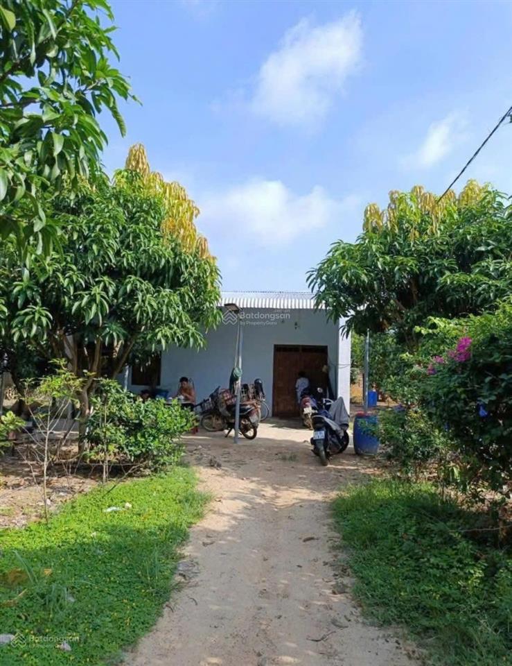 Bán mảnh đất 2541m2 có nhà cấp 4 ngay ubnd tân hiệp  phú giáo  tphcm. giá 650 triệu