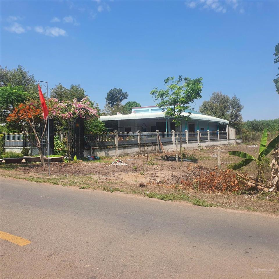 Cần tiền bán gấp lô đất 530m2 có thổ cư ngay chợ phú giáo  tp. hồ chí minh giá ngộp