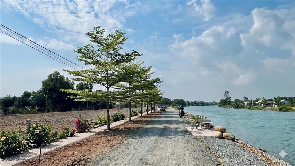 Chốt ngay đất bờ sông  chỉ còn lô 650 triệu  giá tốt bình hiệp kiến tường 0945 585 ***