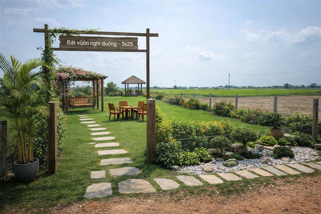 Chính chủ bán nhanh đất ven sông kiến tường 149.7m² đường nhựa đẹp chỉ 5,5 triệu/m2