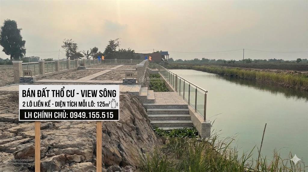 Chủ kẹt tiền cần bán gấp đất kiến tường 150m²  100% thổ giá 650 triệu  0945 585 ***