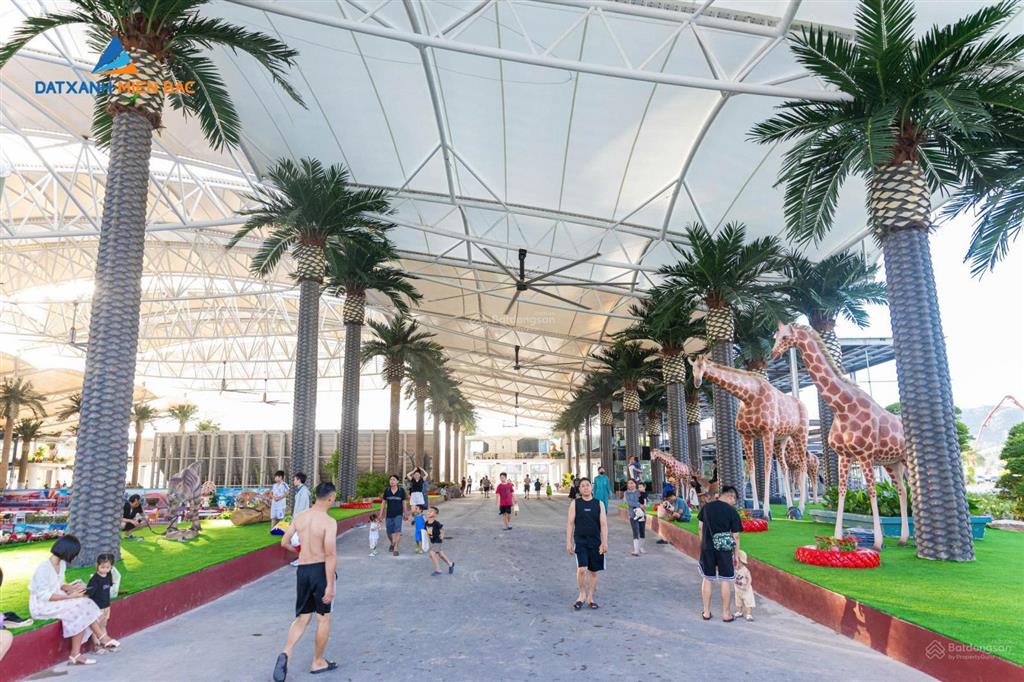 Bán căn 2pn 2vs vân bay vân đồn (87m²) | rộng rãi dễ khai thác dòng tiền 10  15tr/tháng
