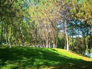 Bán nhà 3 tầng 2 mặt tiền đường lý tự trọng  đối diện quảng trường