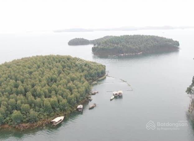 Bán quả đảo 2,6ha vị trí đắc địa có đường điện tại hồ thác bà, yên bái