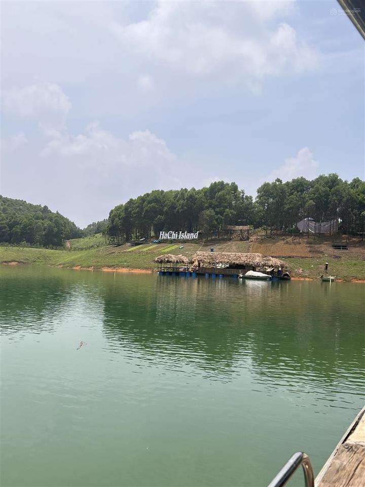 Bán quả đảo 2,6ha vị trí đắc địa có đường điện tại hồ thác bà, yên bái