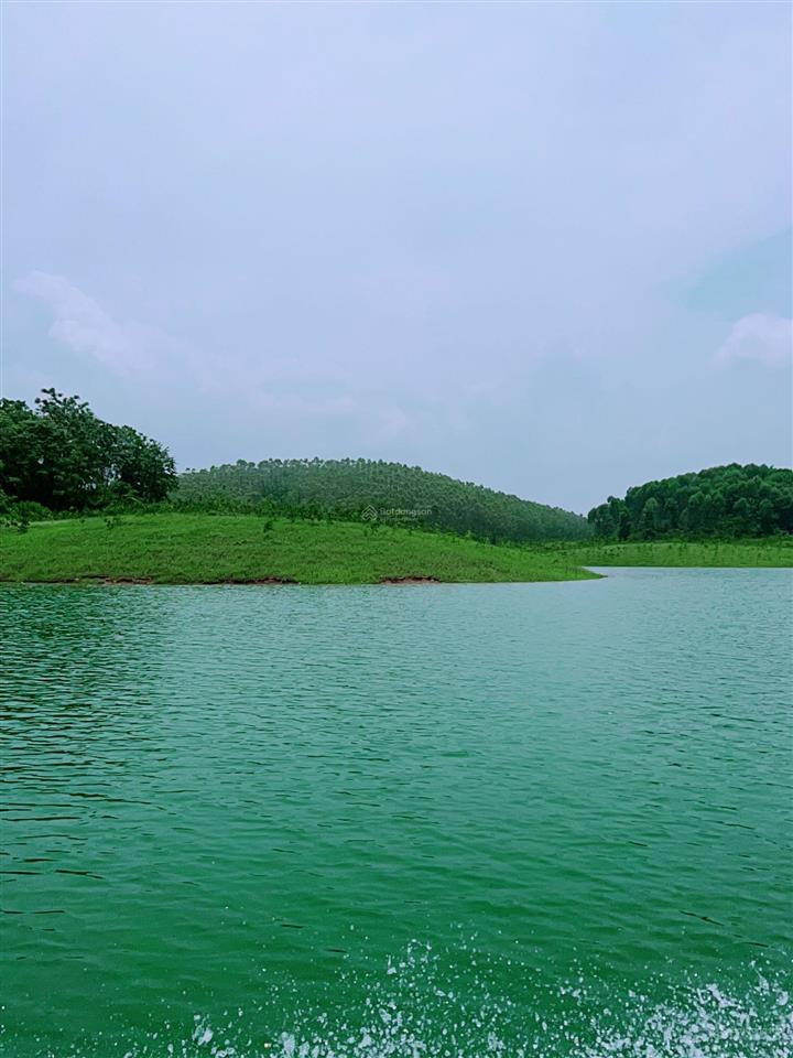 Bán quả đảo 2,6ha vị trí đắc địa có đường điện tại hồ thác bà, yên bái