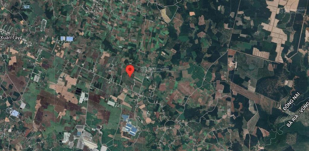 Bán gấp đất sổ đỏ 1000m2 cln đường giao thông vào tận đất 490 triệu chính chủ