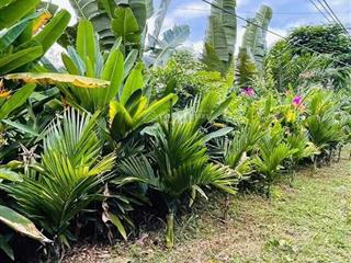 Bán đất 1000m2 phù hợp làm nhà vườn trồng trọt, cách sân bay long thành chưa đến 1 tiếng di chuyển