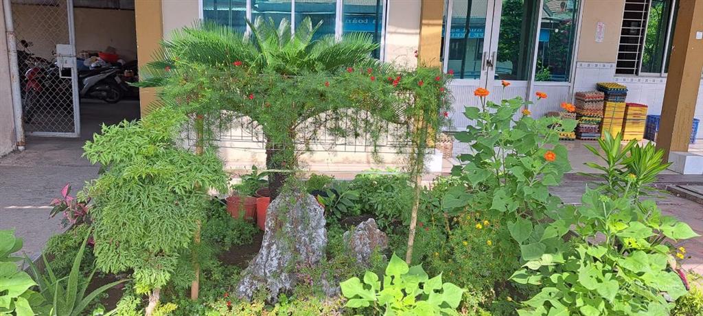 Bán đất mặt tiền quốc lộ 50, xã mỹ phong, thành phố mỹ tho, tiền giang
