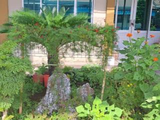 Bán đất mặt tiền quốc lộ 50, xã mỹ phong, thành phố mỹ tho, tiền giang