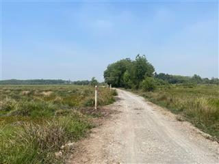 Bán nhanh mặt tiền tỉnh lộ 7 đang mở rộng