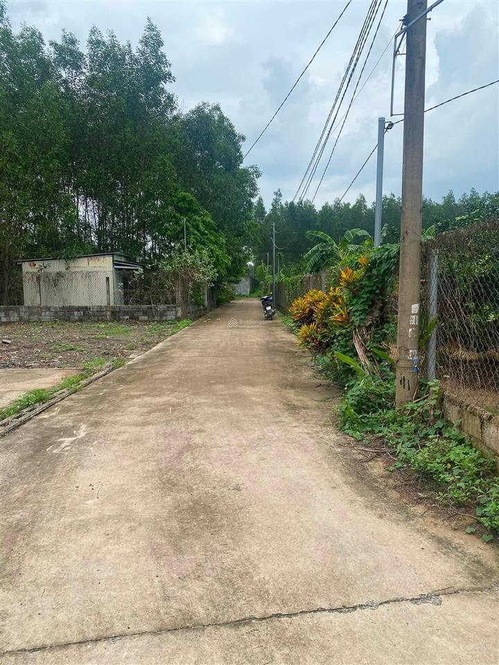 Bán đất tại đường đa lộc, xã bình lợi, huyện vĩnh cửu, đồng nai, 6,2 tỷ, 1000m2, giá ưu đãi
