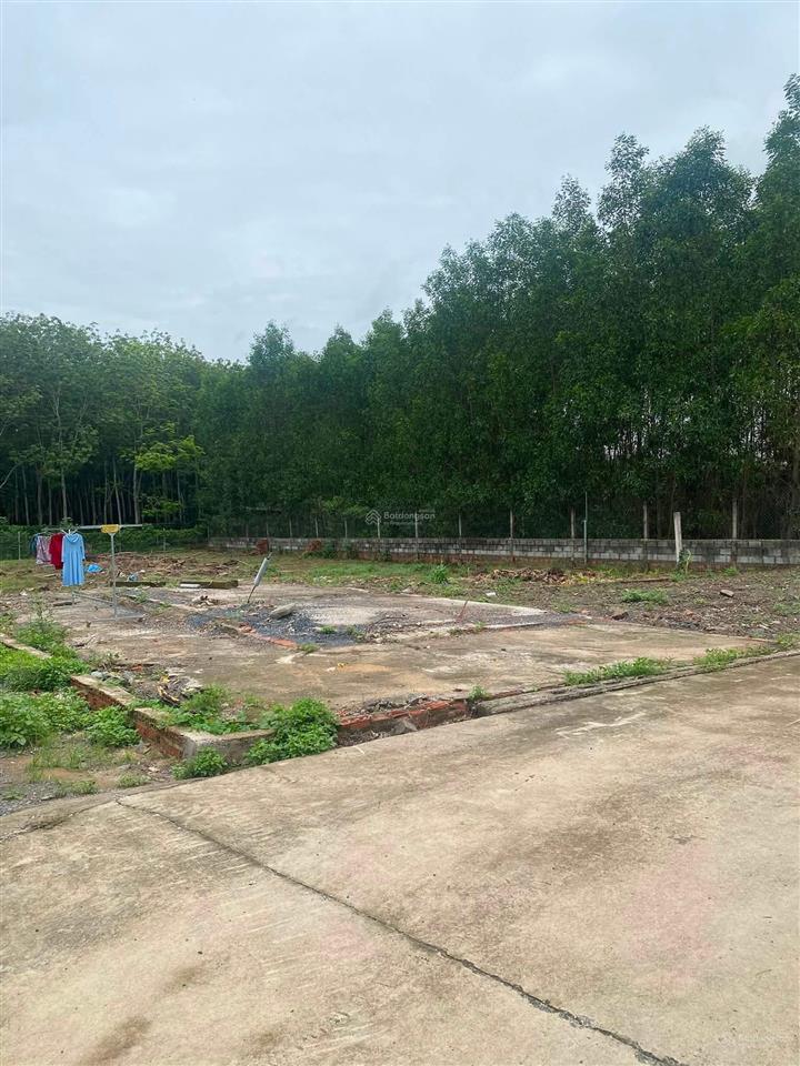 Bán đất tại đường đa lộc, xã bình lợi, huyện vĩnh cửu, đồng nai, 6,2 tỷ, 1000m2, giá ưu đãi