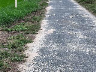 Bán lô đất sào mặt tiền đường số 1 thôn tân sinh  cam thành bắc  cam lâm giá 680triệu/sào
