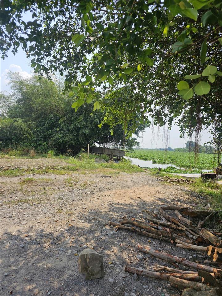 Siêu phẩm mặt tiền sông vàm cỏ đông, 600m2 chỉ 1,4ty, mặt tiền sông rộng 15m