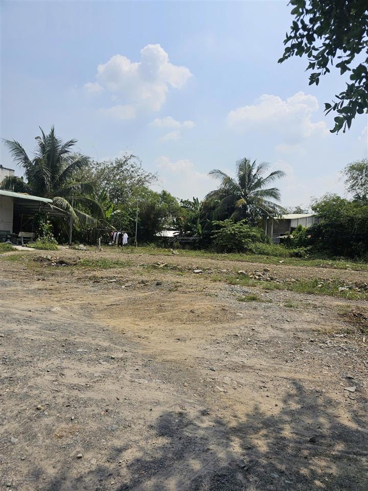 Siêu phẩm mặt tiền sông vàm cỏ đông, 600m2 chỉ 1,4ty, mặt tiền sông rộng 15m