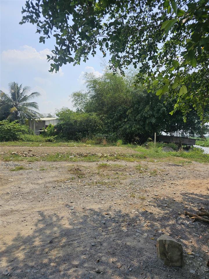 Siêu phẩm mặt tiền sông vàm cỏ đông, 600m2 chỉ 1,4ty, mặt tiền sông rộng 15m